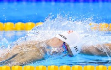 壹号娱乐官网-斯图加特主场告捷强势攀升 德甲积分榜再掀波澜