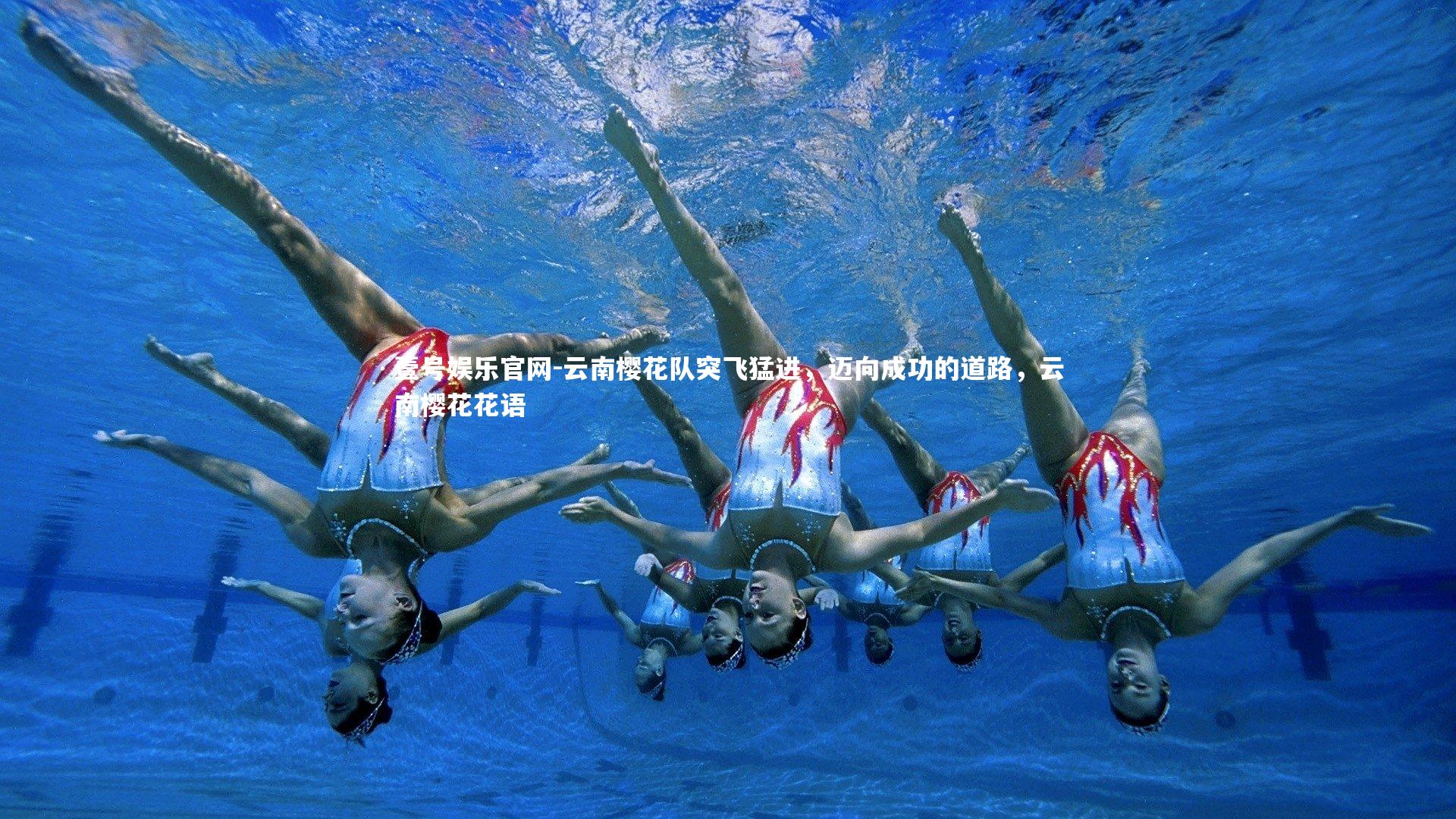 云南樱花队突飞猛进，迈向成功的道路，云南樱花花语